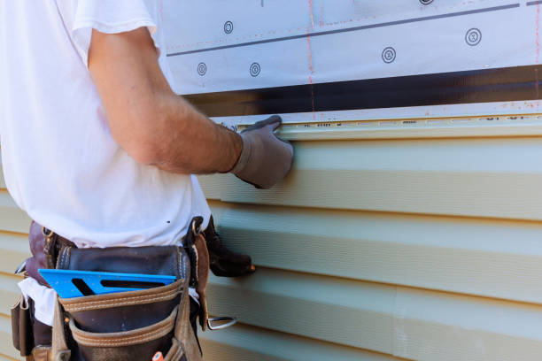 Affordable Siding Repair solutions in Louisville, IL